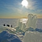 Ice World